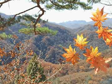 私人哪里卖打胎药兴业银行落地深交所首笔科创债债券借贷交易